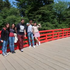 Voice of Hirosaki University Summer Program 2019 Participants