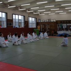 「日本のスポーツ」の授業で柔道が始まりました