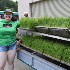 グリーンツーリズム（サワダ先生）田植えをしました