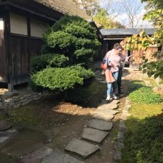 【サワダ先生】津軽近代文化史