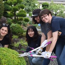 【サワダ先生】日本庭園