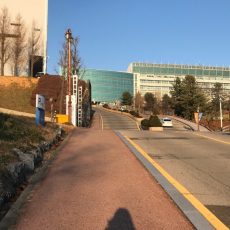 🌸ひろだいアンバサダー【留学だより】人文社会科学部４年　山本美弥子さん