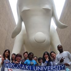 交換留学生を対象とした体験型観光を実施しました。